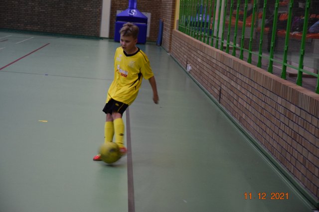 turmikol 11